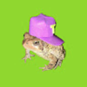 Meet your Posher, Caleb